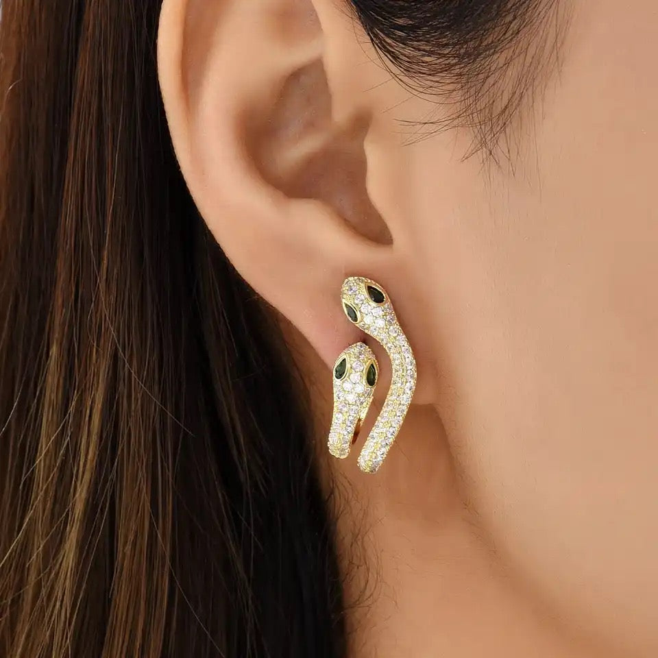 Aretes Snake