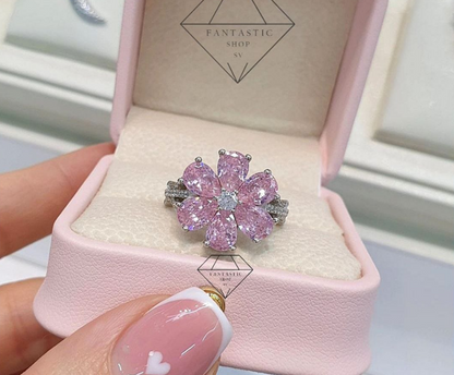 Anillo EDA